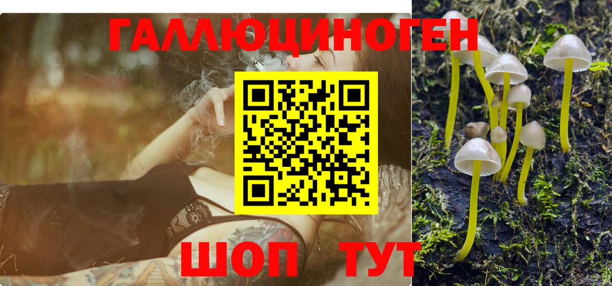 Псилоцибиновые грибы Psilocybine cubensis Щёлково
