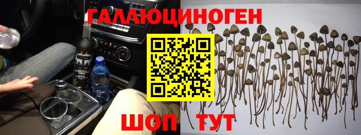Щёлково  Галлюциногенные грибы GOLDEN TEACHER  Вход с VPN 